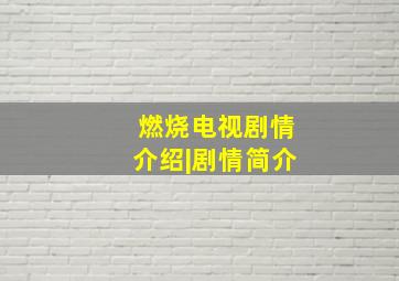 燃烧电视剧情介绍|剧情简介